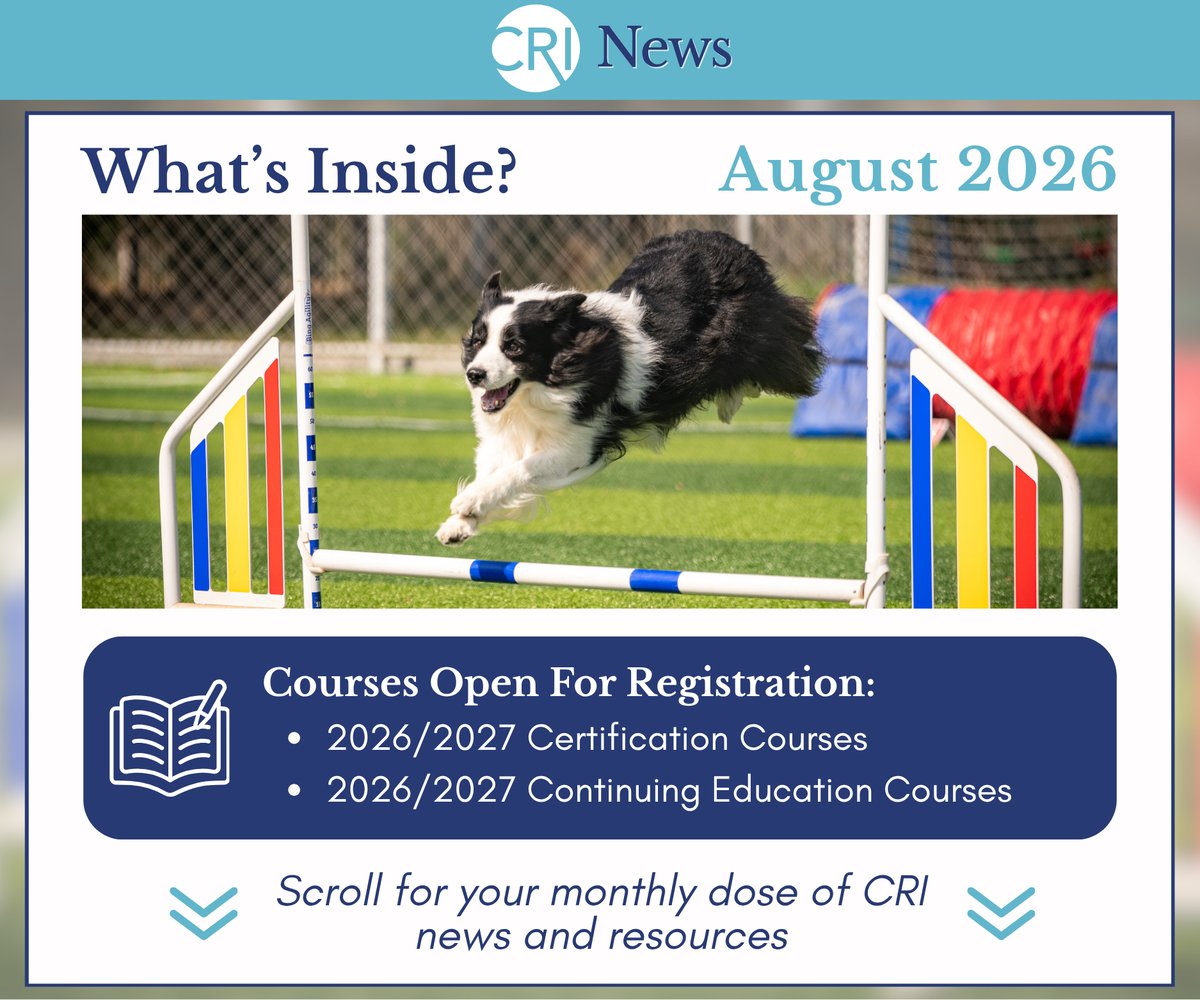 CRI Monthly Newsletter: August 2026! Check out what courses are open and scroll for your monthly dose of news and resources! Image: border collie jumping over a brightly colored agility jump
