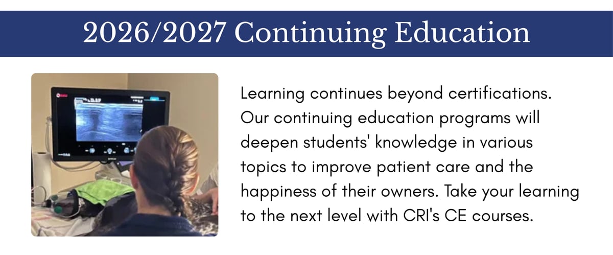 2026/2027 Continuing Education: learning continues beyond certifications. Our continuing education programs will deepen students' knowledge in various topics to improve patient care and the happiness of their owners. Take your learning to the next level with CRI's CE courses