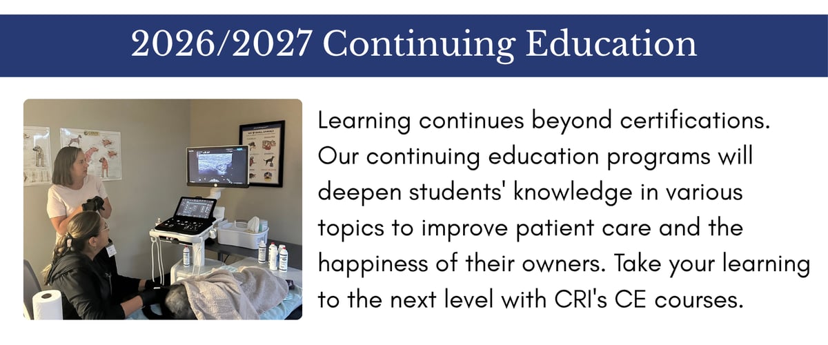 2026/2027 Continuing Education Courses