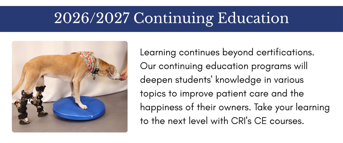 2026/2027 Continuing Education: learning continues beyond certifications. Our continuing education programs will deepen students' knowledge in various topics to improve patient care and the happiness of their owners. Take your learning to the next level with CRI's CE courses