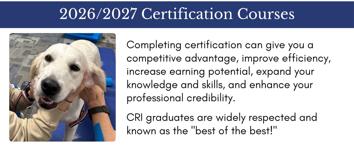 2026/2027 Certification Courses