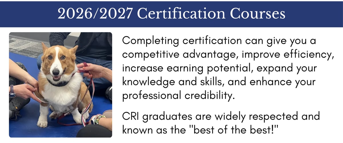 2026/2027 Certification Courses: Completing certification can give you a competitive advantage, improve efficiency, increase earning potential, expand your knowledge and skills, and enhance your professional credibility
