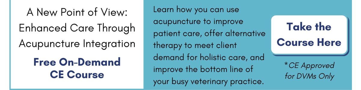 A New Point of View: Enhanced Care Through Acupuncture Integration (Free, On Demand). Click to learn more and register.