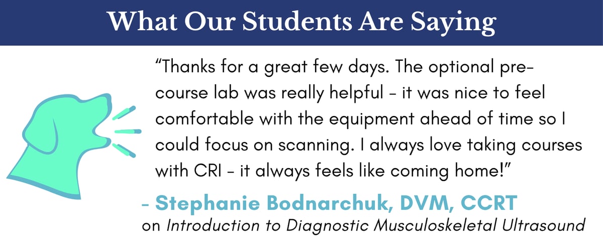 Student testimonial on Intro to Diagnostic Musculoskeletal Ultrasound