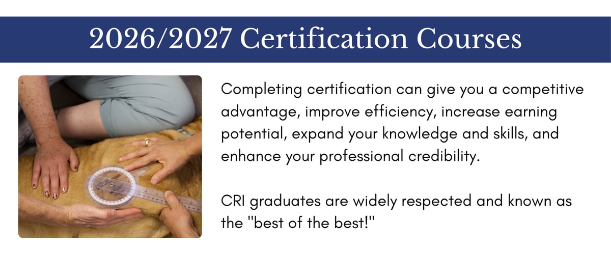 2026/2027 Certification Courses: Completing certification can give you a competitive advantage, improve efficiency, increase earning potential, expand your knowledge and skills, and enhance your professional credibility