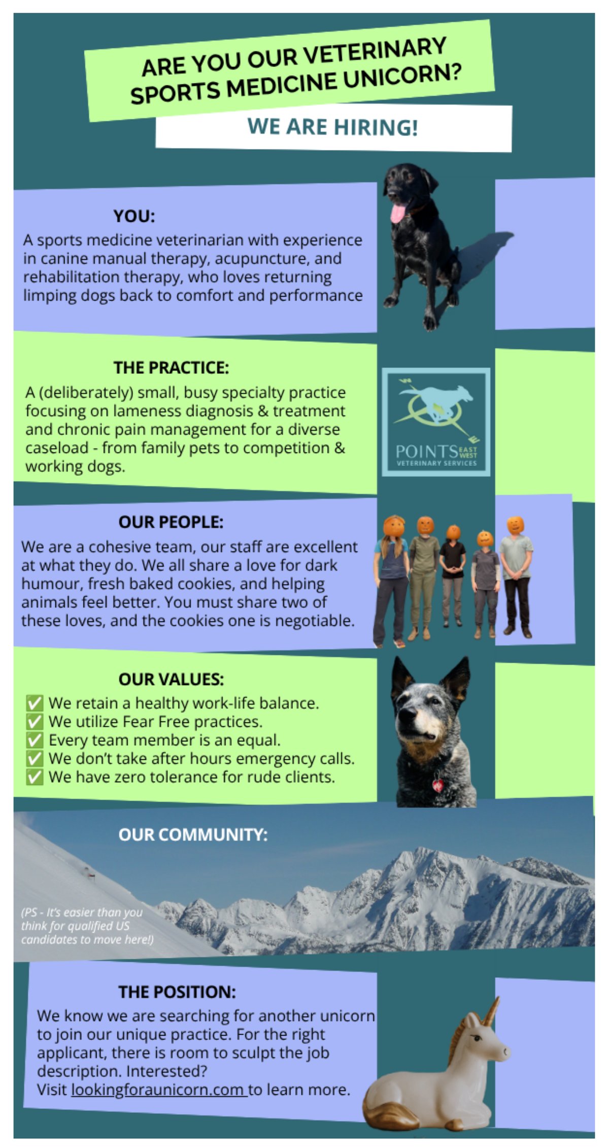 Are you a veterinary sports medicine unicorn? Job posting from Points East West Veterinary Services. Visit lookingforaunicorn.com to learn more 