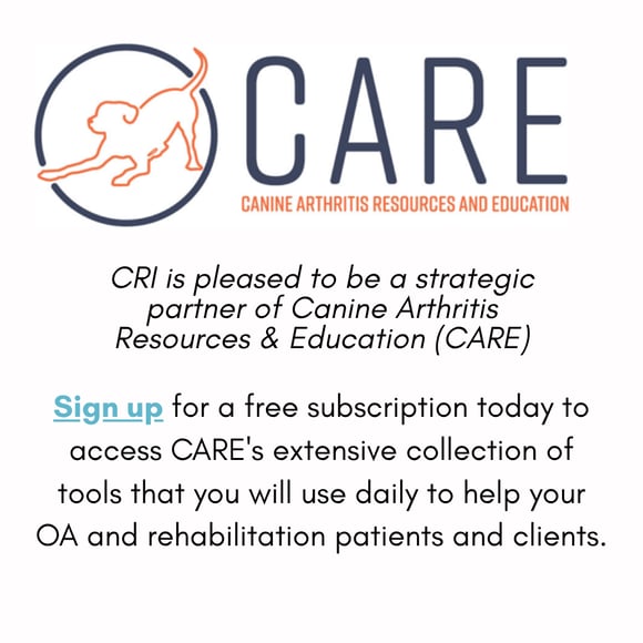 Strategic partner: C.A.R.E. 
