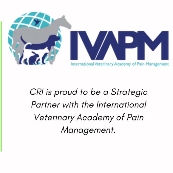 Strategic partner: IVAPM
