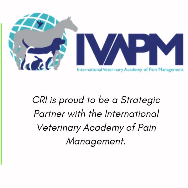 CRI is proud to be a strategic partner with the International Veterinary Academy of Pain Management (IVAPM)