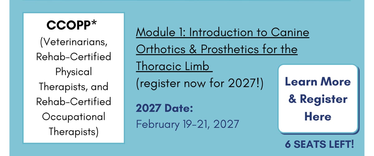 Copy of July 2026 CRI Newsletter Blocks (1)