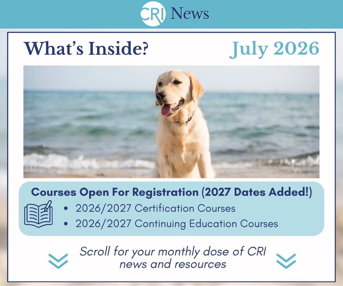 CRI Monthly Newsletter: July 2026! Check out what courses are open and scroll for your monthly dose of news and resources! Image: white lab sitting on a beach in front of the water