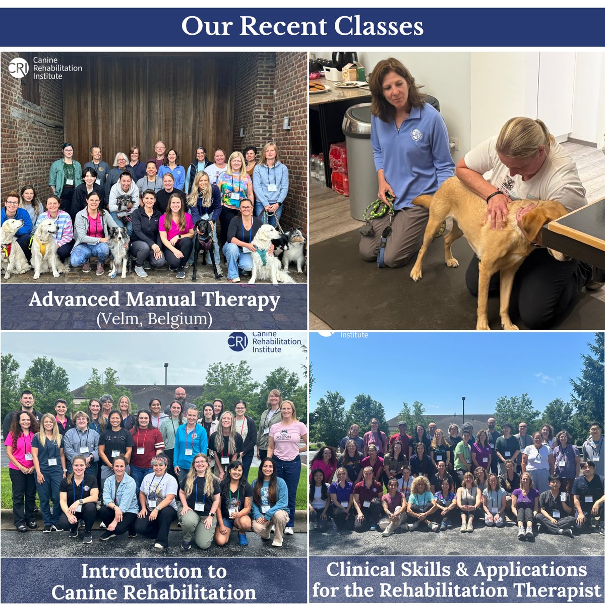 Enjoy these photos of our recent classes - Advanced Manual Therapy (top photos), Intro to Canine Rehab (bottom left) and Clinical Skills & Apps (bottom right)!