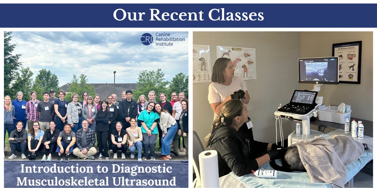 Our recent classes - Introduction to Musculoskeletal Ultrasound