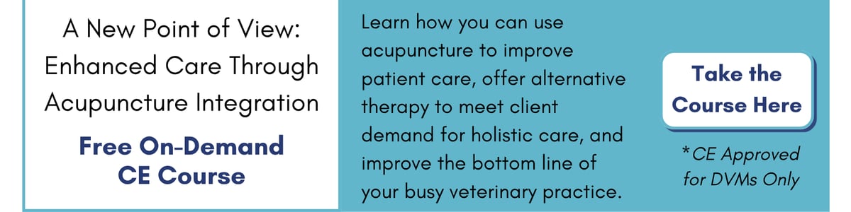 A New Point of View: Enhanced Care Through Acupuncture Integration (Free, On Demand). Click to learn more and register.