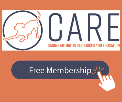 Banner: CARE (Canine Arthritis Resources & Education) - join for free