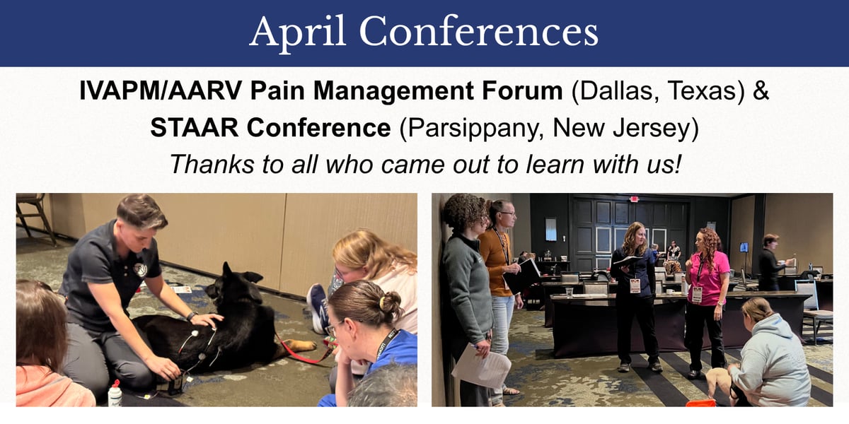 April Conferences: Thanks to all who came out to learn with us at the IVAPM/AARV Pain Management Forum and STAAR Conference!