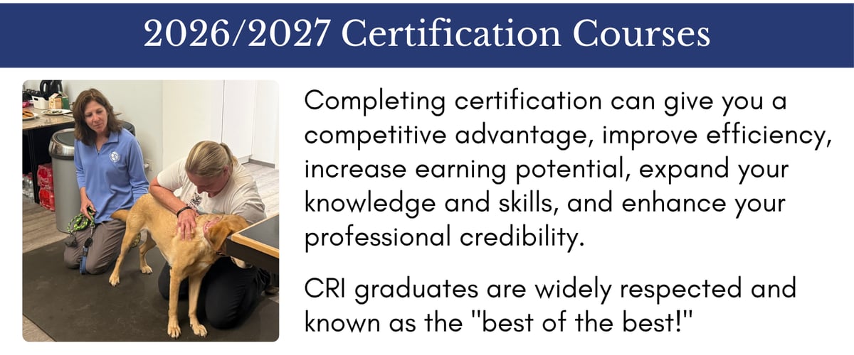 2026/2027 Certification Courses
