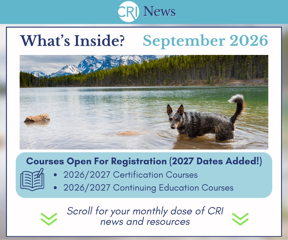CRI Monthly Newsletter: September 2026! Check out what courses are open and scroll for your monthly dose of news and resources! Image: cattle dog swimming in a lake in the mountains